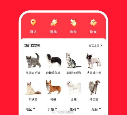 网购鹦鹉后发烧 卖家被判赔2万余元