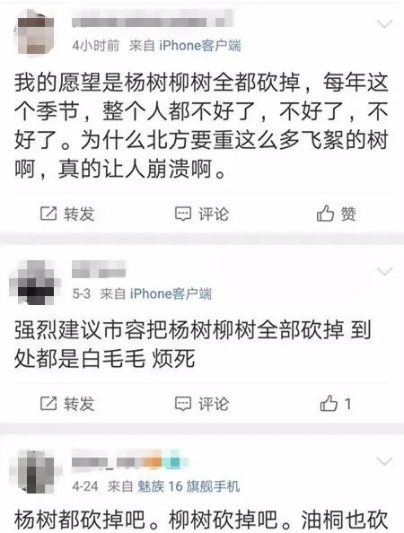 预警！“过敏星人”噩梦又来了，持续一个多月！