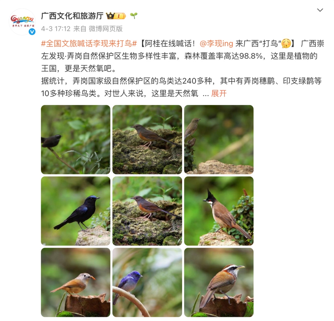 演员“打鸟”被点名！多地文旅喊话→