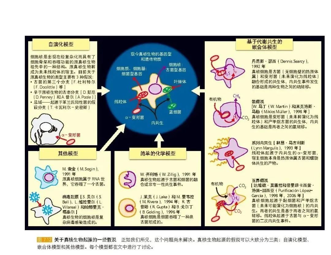 生物学的思维方式［英］乔治B约翰逊　一场地球生命的进化之旅　中国語 英国在哪里能买到便宜的中文书？《生命的寻路人》7.7英镑| 伦敦