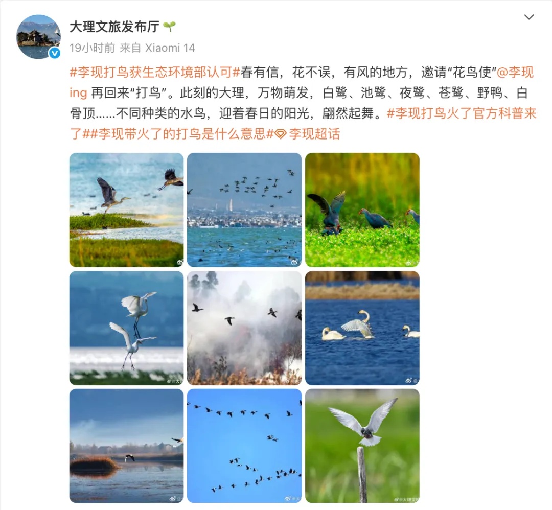 什么?!全国都在喊李现“打鸟”…… 什么?!全国都在喊李现“打鸟”……