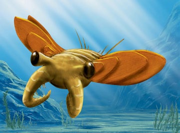 蝌学荐书丨1条时间轴、14个起源大事件,这本书带你揭开地球生命遥远的过去 蝌学荐书丨1条时间轴、14个起源大事件,这本书带你揭开地球生命遥远的过去