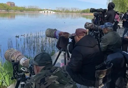 演员“打鸟”被点名！多地文旅喊话→