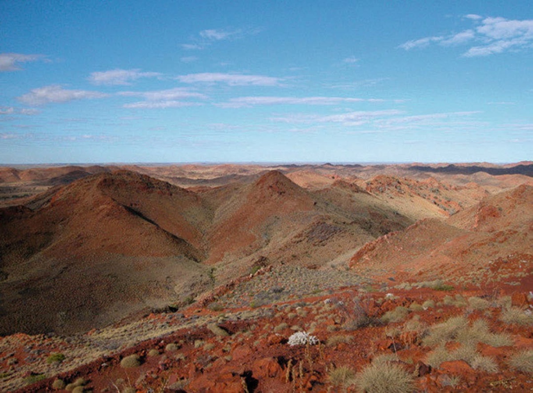 蝌学荐书丨1条时间轴、14个起源大事件,这本书带你揭开地球生命遥远的过去 蝌学荐书丨1条时间轴、14个起源大事件,这本书带你揭开地球生命遥远的过去