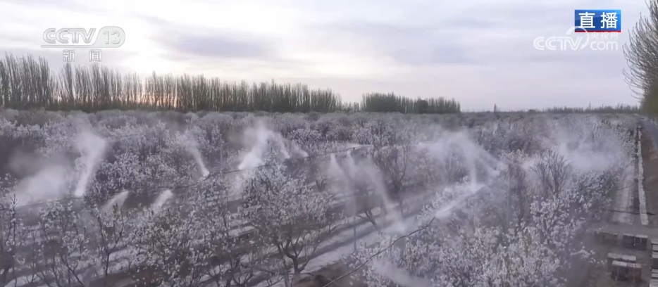 从“会种地”到“慧种地” 科技赋能农业生产“智慧升级”