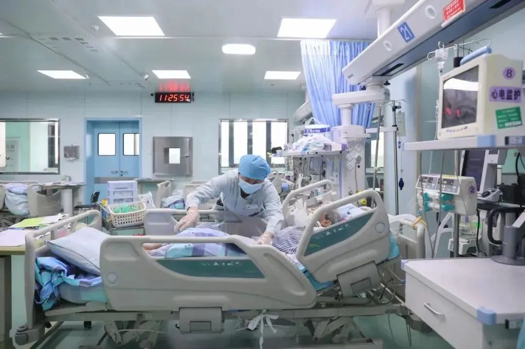 一锅汤毒倒一家6口!这种“野菜”千万别采 一锅汤毒倒一家6口!这种“野菜”千万别采