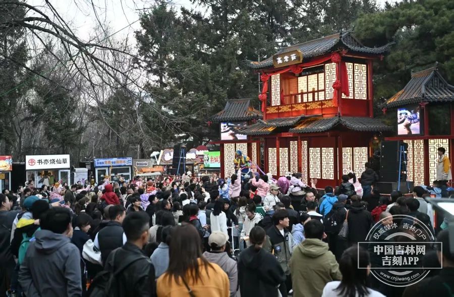 这波流量，长春动植物公园接住了！