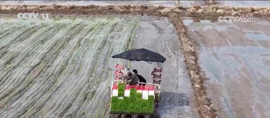 从“会种地”到“慧种地” 科技赋能农业生产“智慧升级”