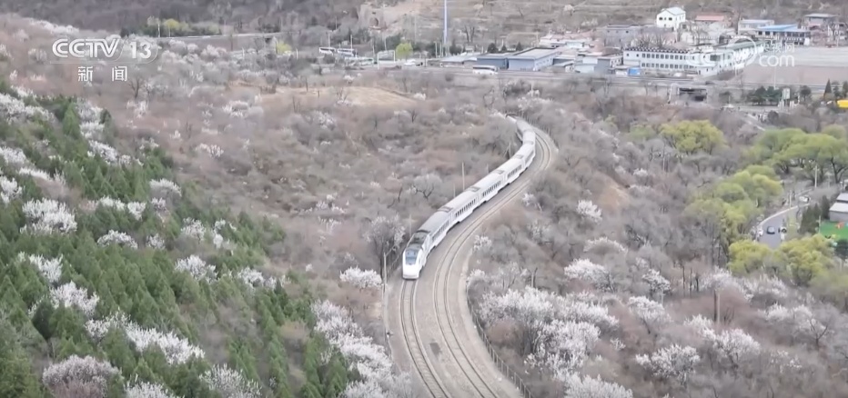 乘列车一路繁花 坐邮轮跨越山海 “花样”文旅点燃春日消费活力