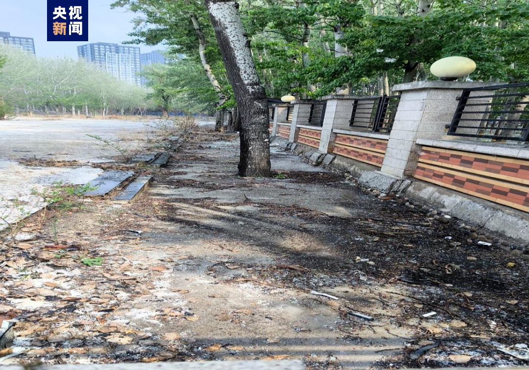 “飞絮”预警! “飞絮”预警!