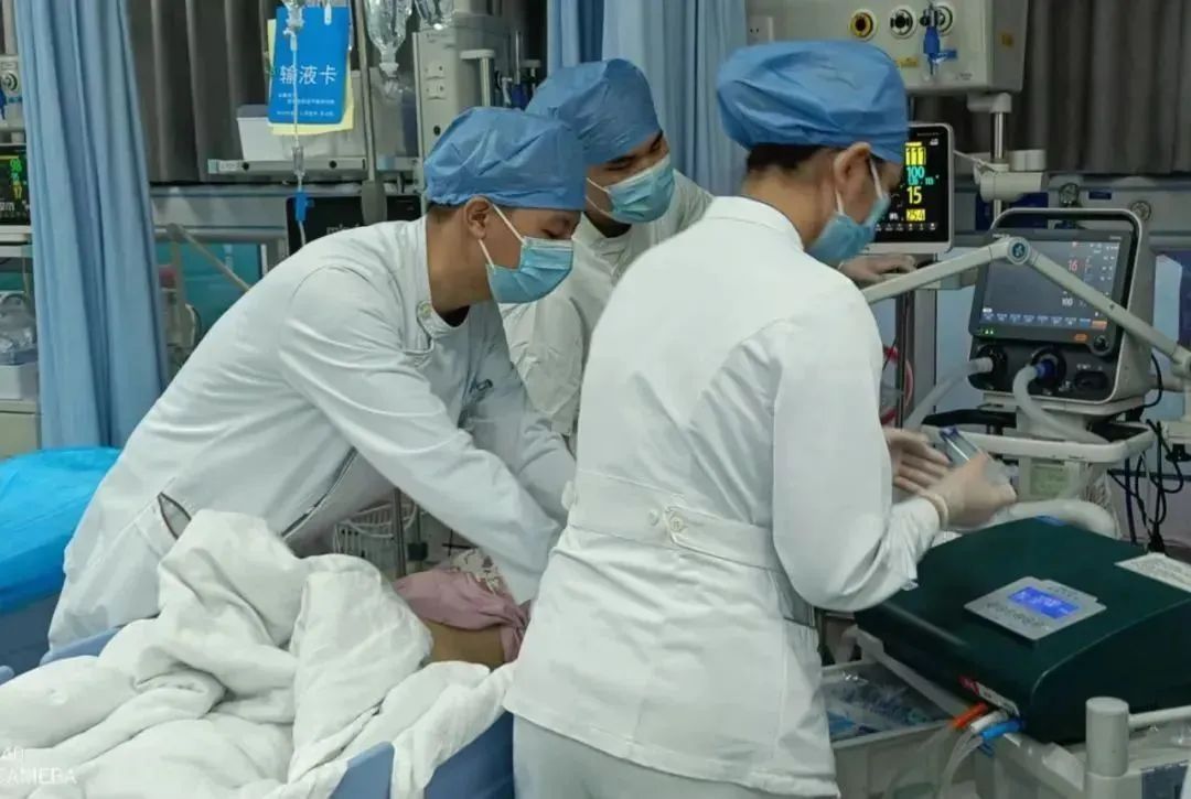 全株有毒!煲汤后放倒一家六口! 全株有毒!煲汤后放倒一家六口!