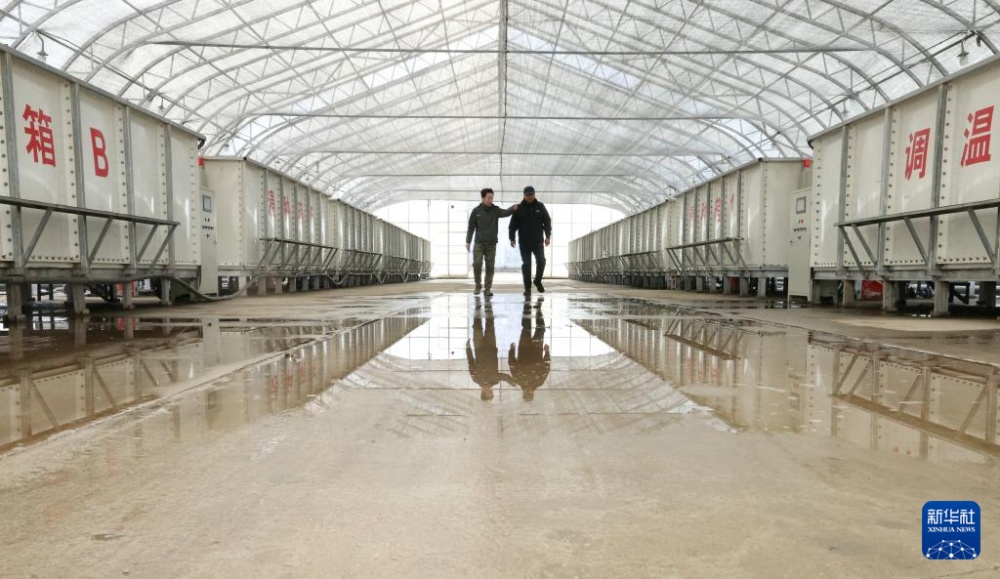 “北大仓”春耕春播忙 “北大仓”春耕春播忙