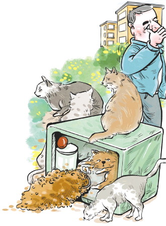 智能猫屋调查：给流浪猫“安家”会带来多少问题？