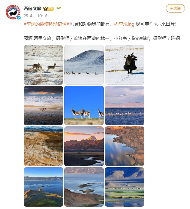 什么?!全国都在喊李现“打鸟”…… 什么?!全国都在喊李现“打鸟”……