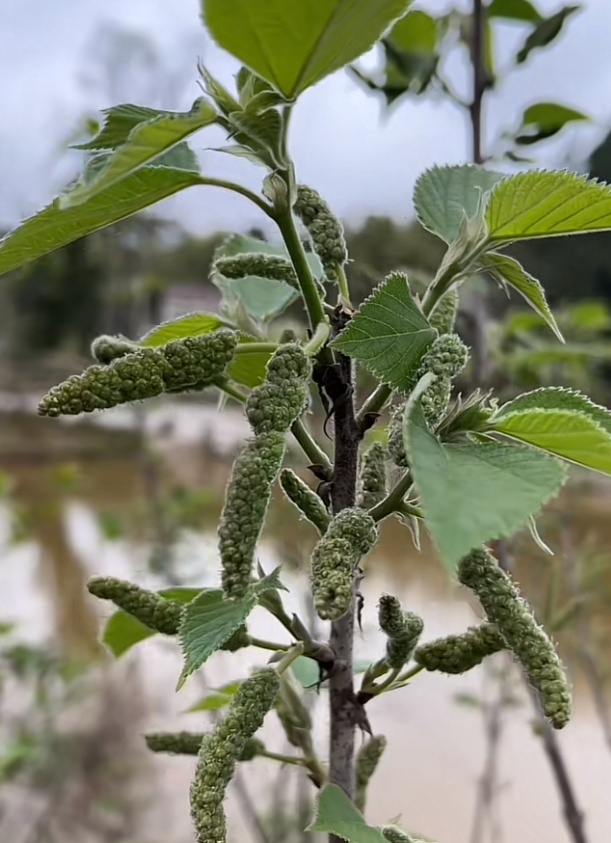 女子狂“炫”一盘后进了抢救室！近期不少人爱吃，医生紧急提醒→