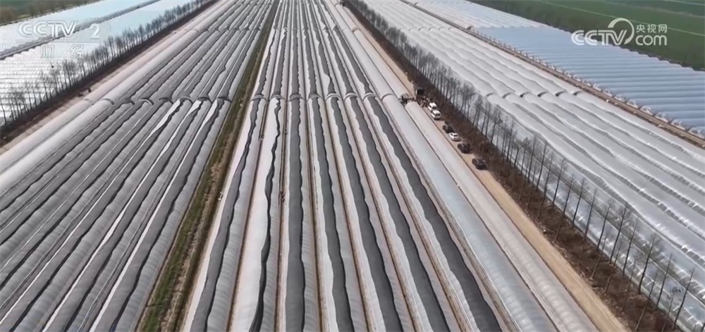 “春天的味道”唤醒味蕾带动消费 “舌尖经济”热度攀升释放新活力 “春天的味道”唤醒味蕾带动消费 “舌尖经济”热度攀升释放新活力