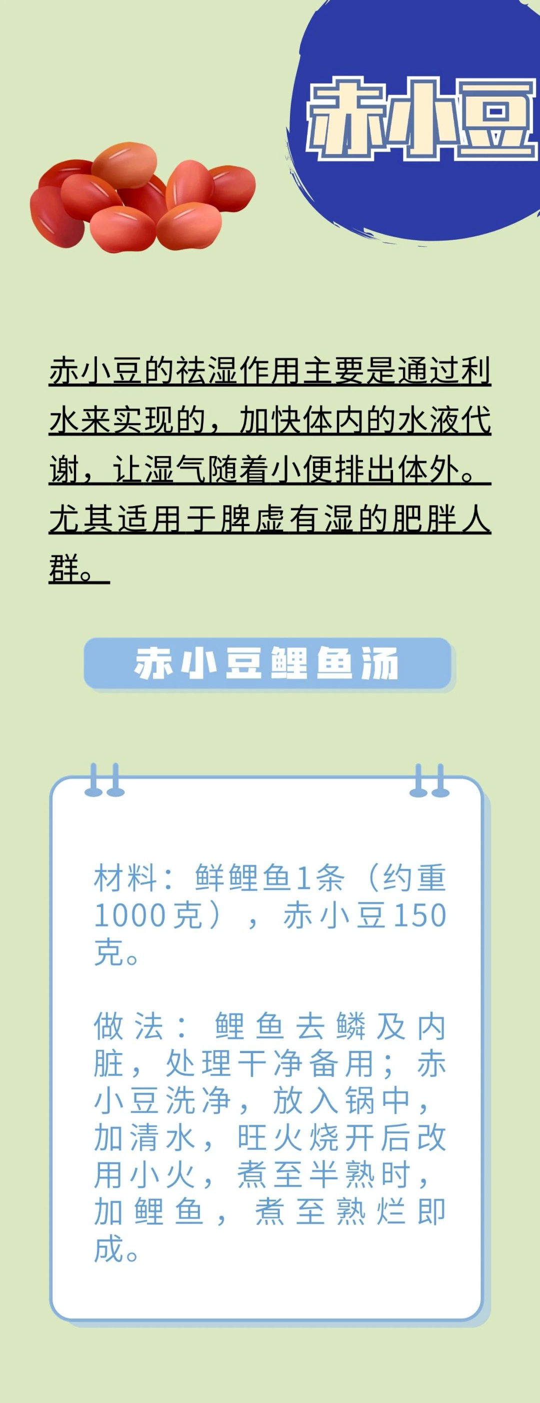 吃得少，却虚胖松垮？快试试“祛湿四宝”→