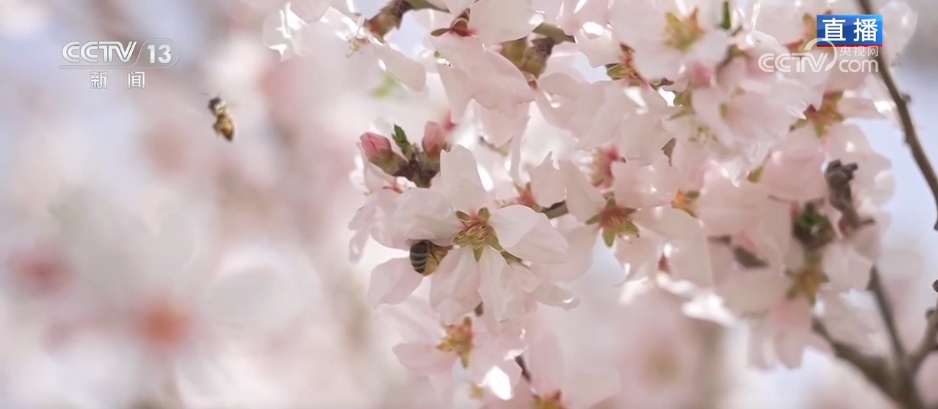 从“会种地”到“慧种地” 科技赋能农业生产“智慧升级”