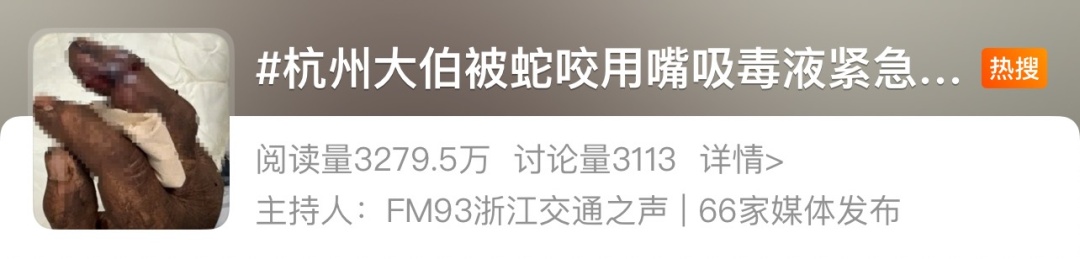 被咬一口,肿到发黑!看到请立即远离 被咬一口,肿到发黑!看到请立即远离