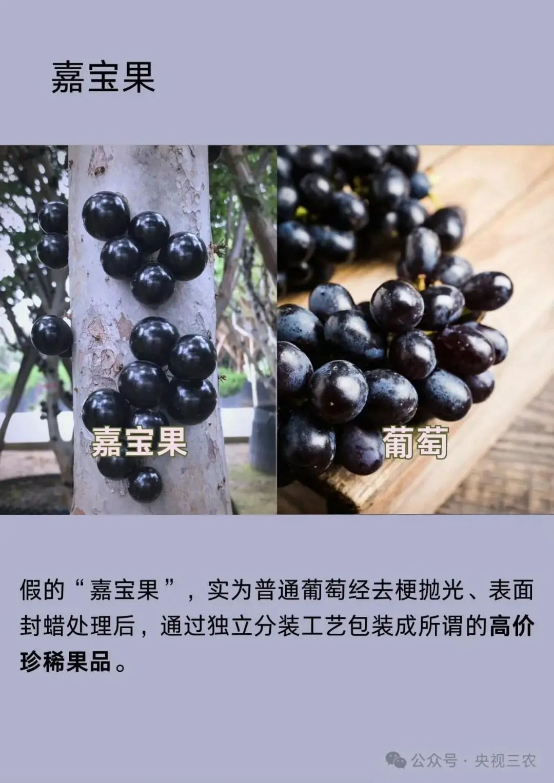 换个名字价格翻番……别让这些“水果骗局”骗了你的钱包和健康