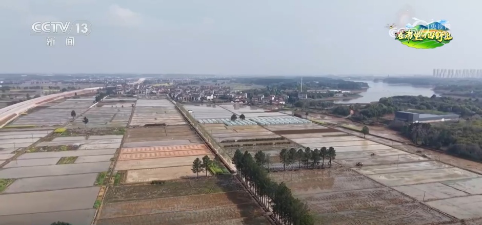 从“会种地”到“慧种地” 科技赋能农业生产“智慧升级”