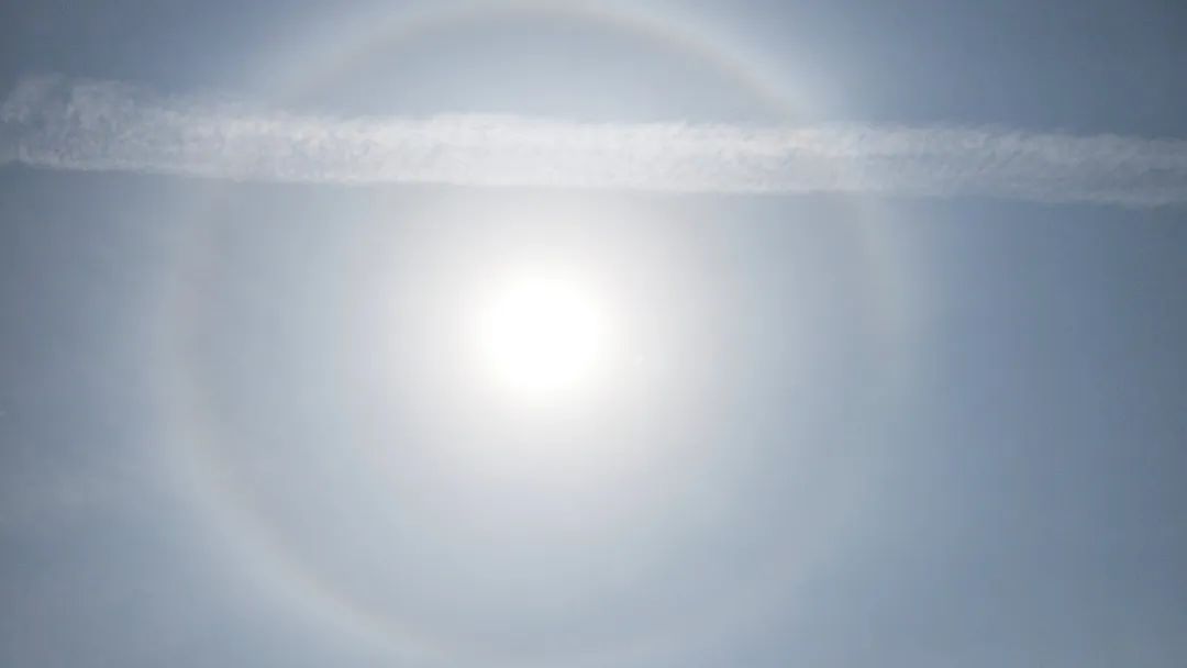 气温快速上升！上海将连续3天热到28℃