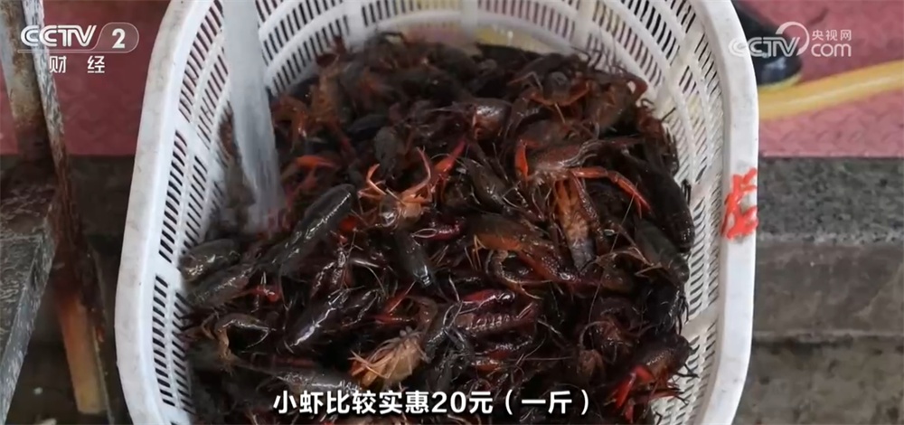 “春天的味道”唤醒味蕾带动消费 “舌尖经济”热度攀升释放新活力 “春天的味道”唤醒味蕾带动消费 “舌尖经济”热度攀升释放新活力