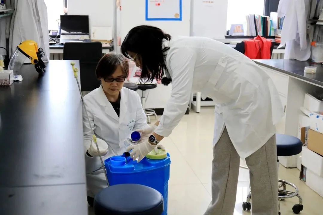 破解花粉过敏！北京农学院新技术明年落地城六区