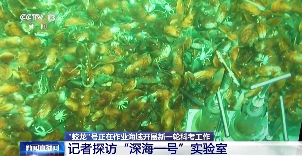 “蛟龙”号国产化升级 下潜1500米探访深海“冷泉”→