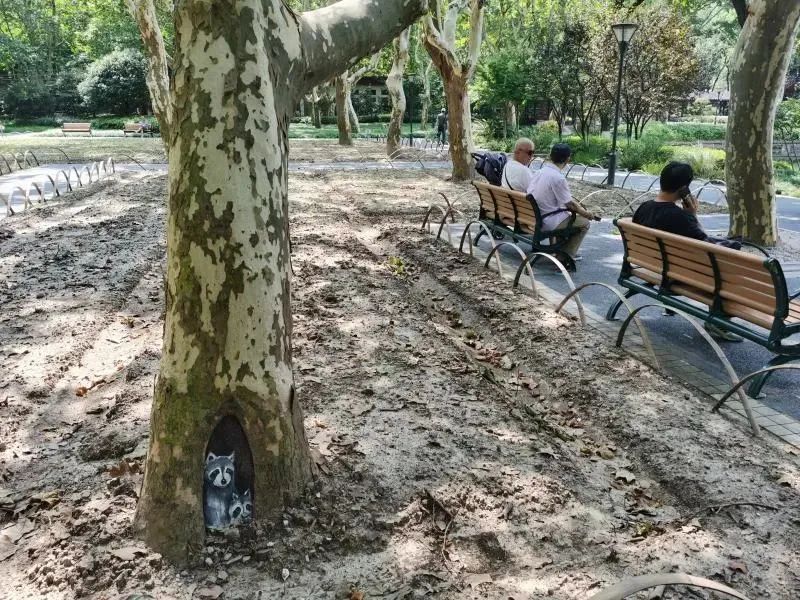 上海花粉指数达顶峰!“你的春和景明,我的氯雷他定”,过敏季如何防护? 上海花粉指数达顶峰!“你的春和景明,我的氯雷他定”,过敏季如何防护?