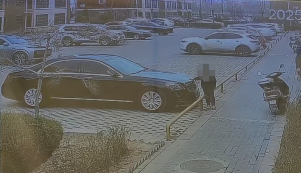 小孩掰断奔驰车标！车主索赔，家长：孩子还小……