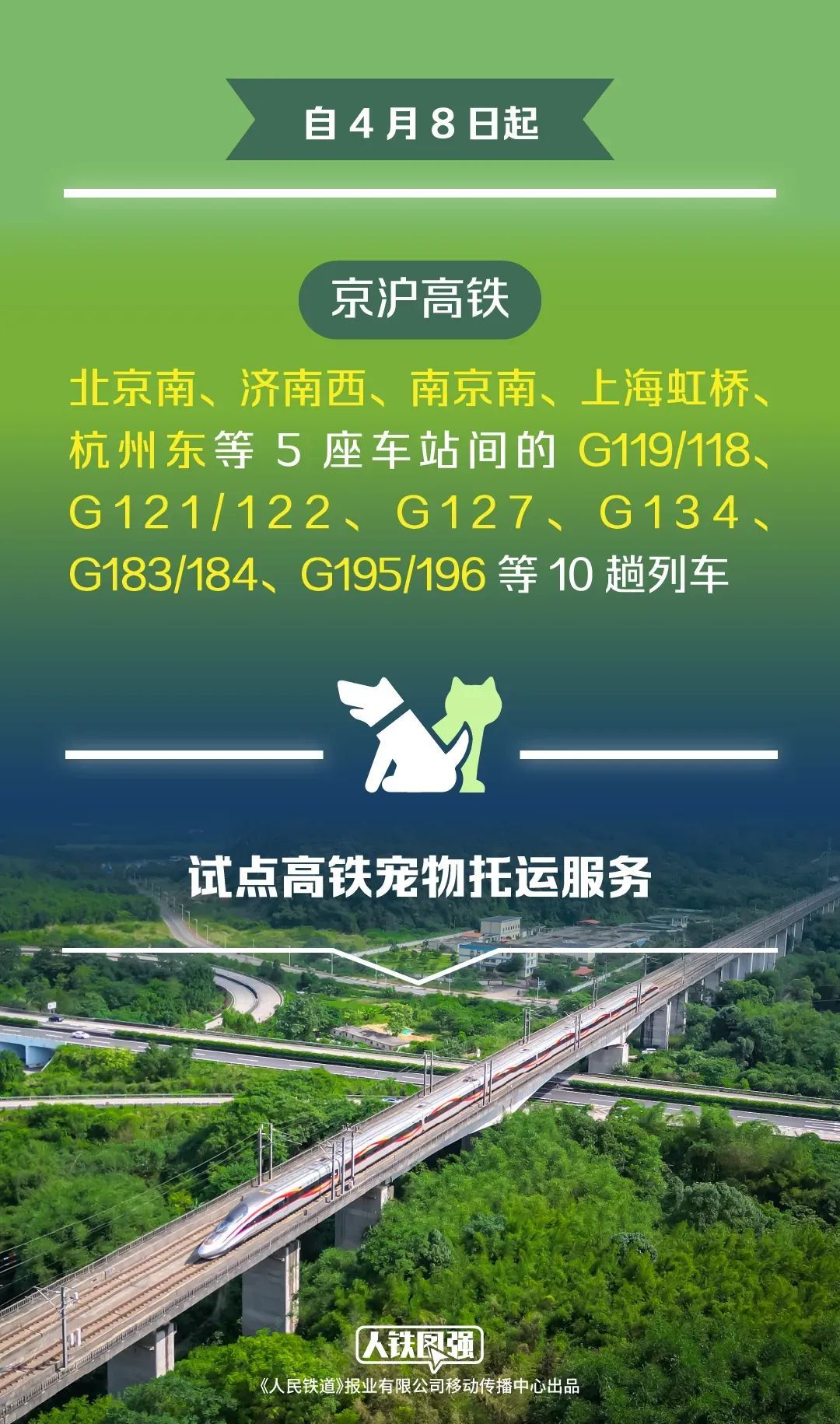今起，你家“毛孩子”可以坐高铁啦！12306推出“宠物托运”，初期七折！