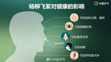 2025杨柳絮盛飞预警地图