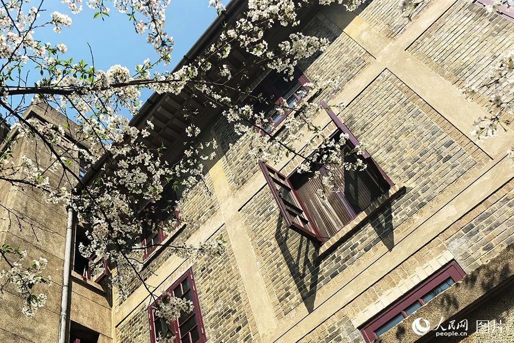 点开后，手机都香了！