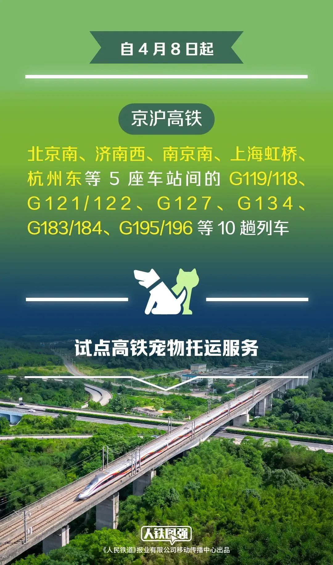上海虹桥等5座车站间的10趟高铁列车今起试点！宠物猫狗能坐高铁了，全网欢呼支持