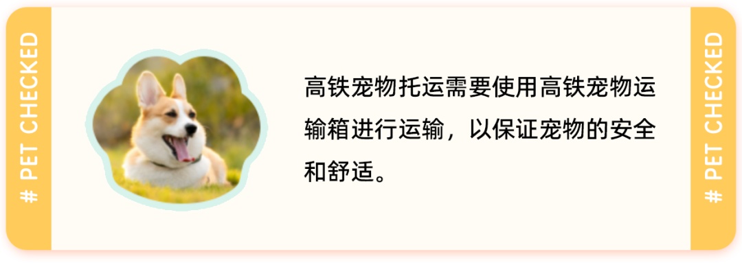今天起，小猫小狗可以坐这些高铁啦！