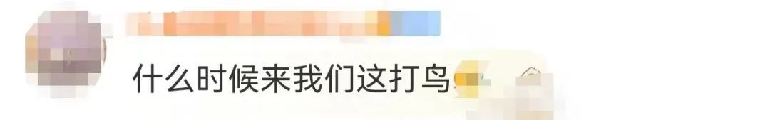 想和李现一起拍鸟？这些行为绝对不行！