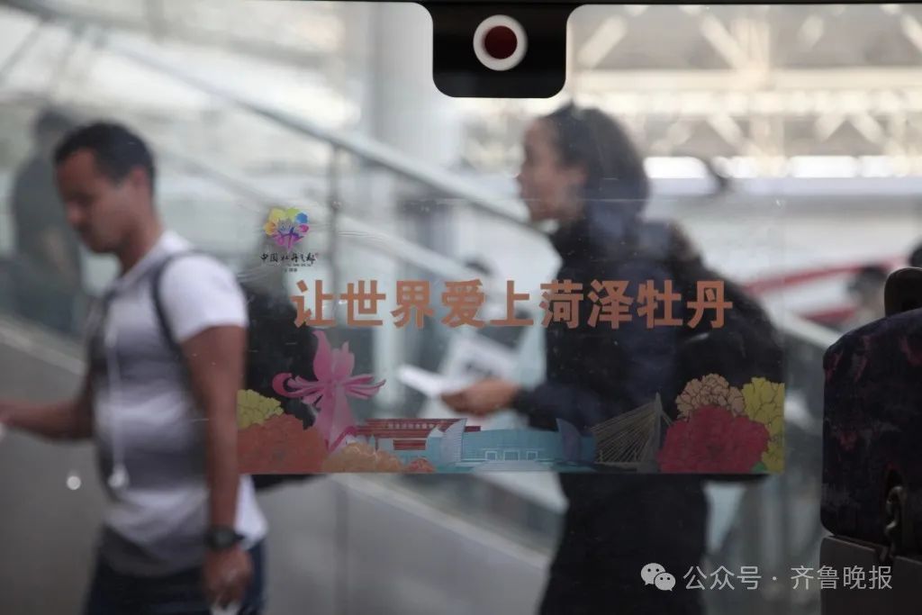 途经山东5市！“牡丹号”赏花专列发车，还有文创伴手礼拿