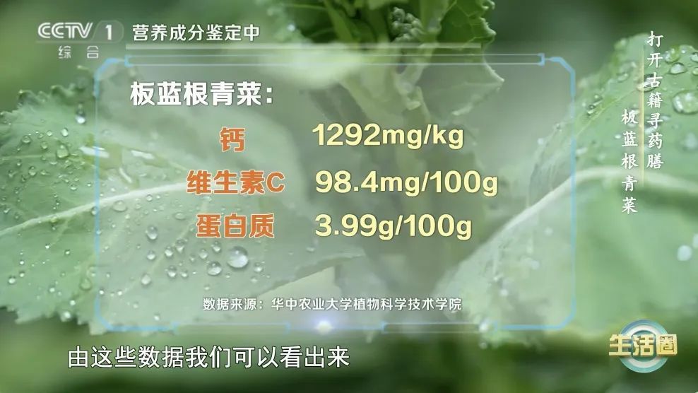 这种蔬菜钙含量比牛奶还高!春天推荐你多吃,补钙、抗病毒、降火~ 这种蔬菜钙含量比牛奶还高!春天推荐你多吃,补钙、抗病毒、降火~