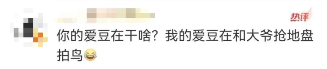 什么？！全国都在喊李现“打鸟”……