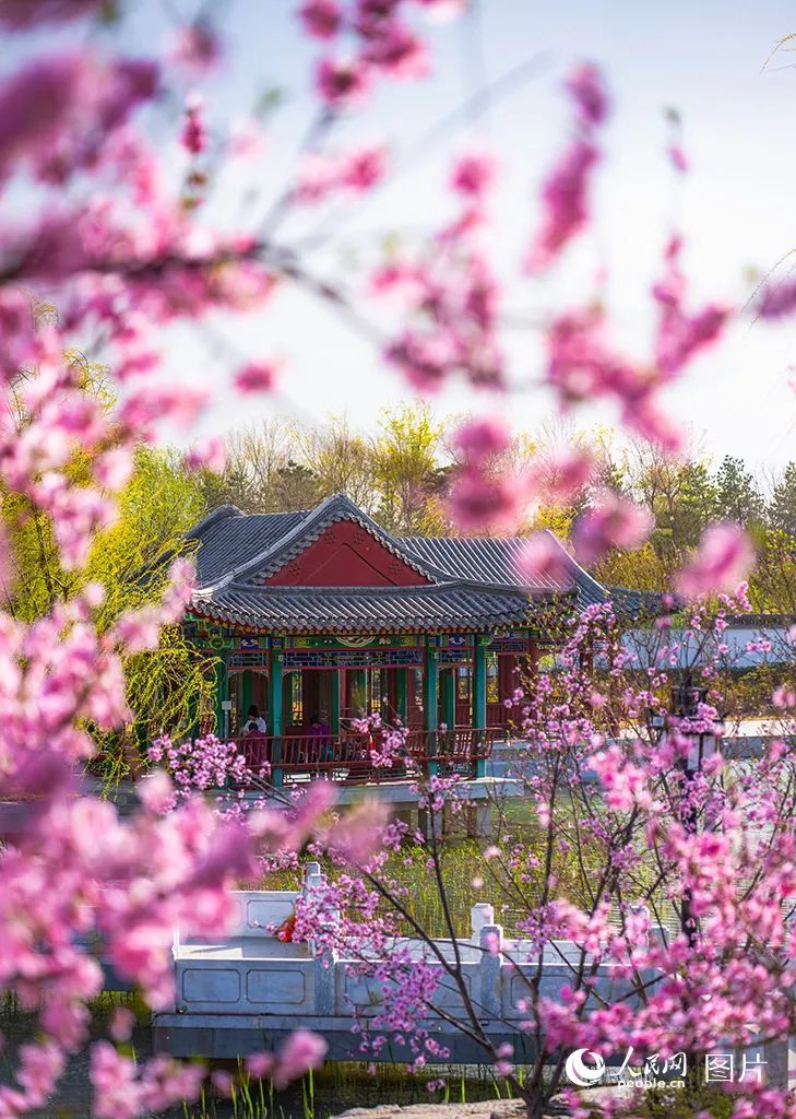 点开后，手机都香了！