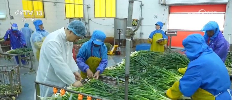 “两新”政策持续显效 消费市场繁荣活跃