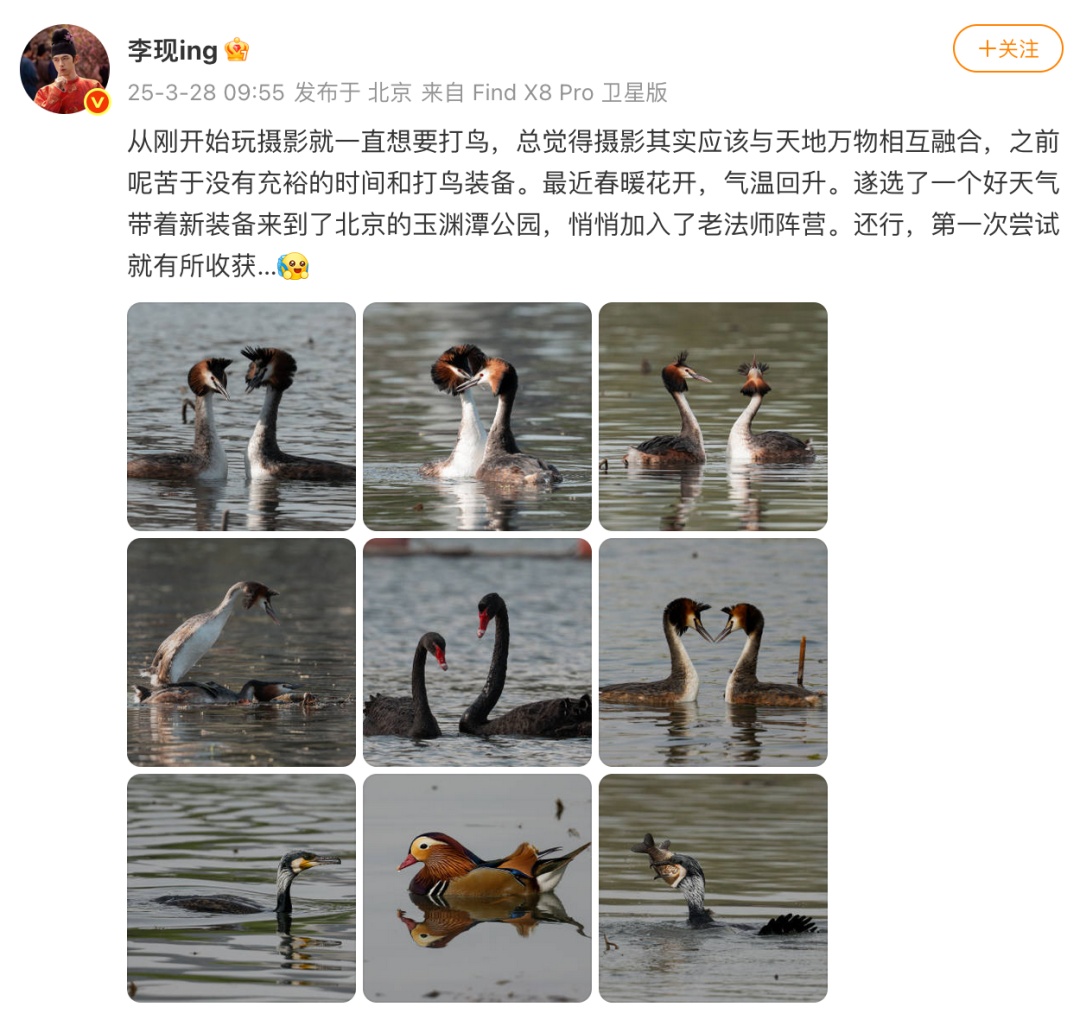 想和李现一起拍鸟？这些行为绝对不行！