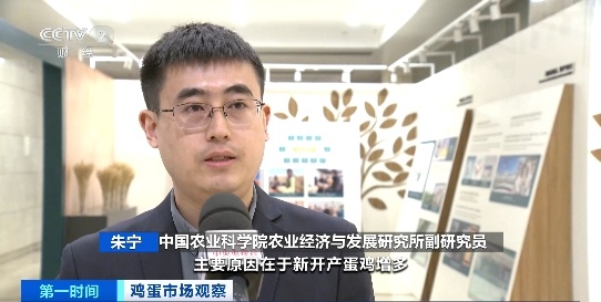 蛋价已连降5周 专家研判后期走势→