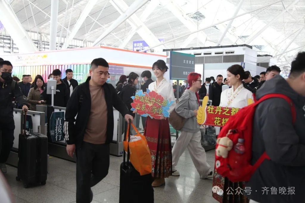 途经山东5市！“牡丹号”赏花专列发车，还有文创伴手礼拿
