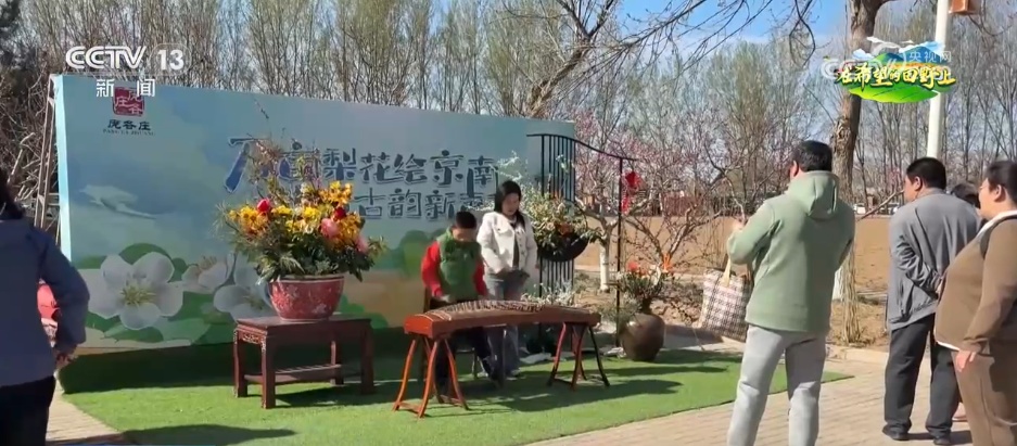 从“土味山野”到“网红打卡地” 多地以“花”为媒为乡村振兴增香添彩