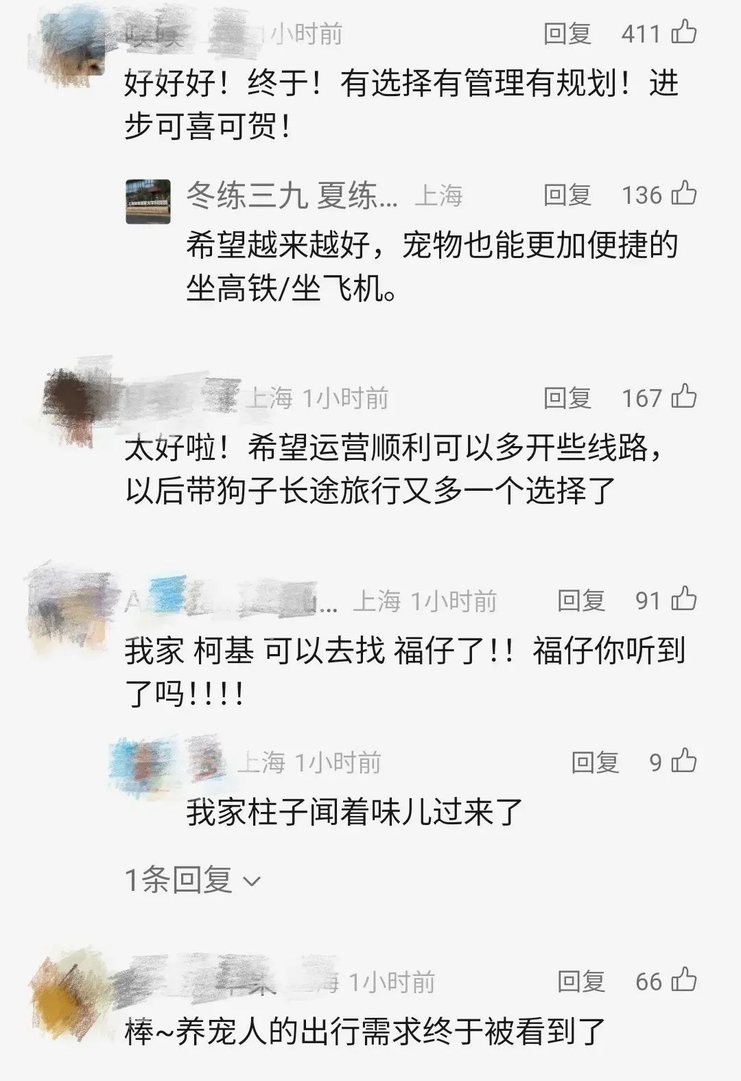 上海虹桥等5座车站间的10趟高铁列车今起试点！宠物猫狗能坐高铁了，全网欢呼支持