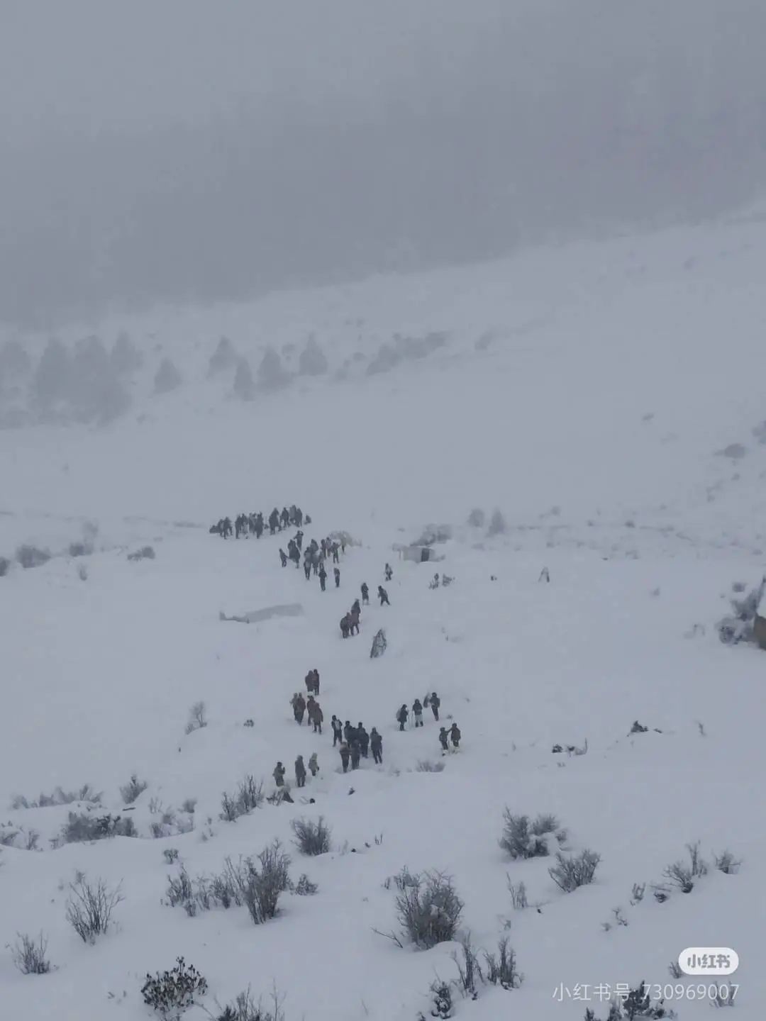 “初级驴友”登超5000米雪山后离世！专家：大雪后三天不宜登山