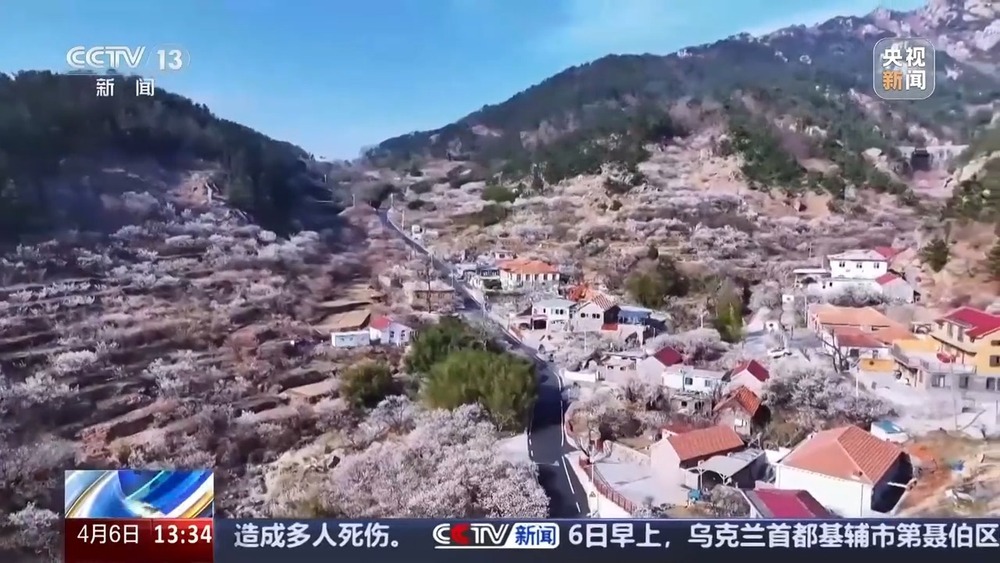 一路繁花 坐着“开往春天的地铁”踏春赏花！