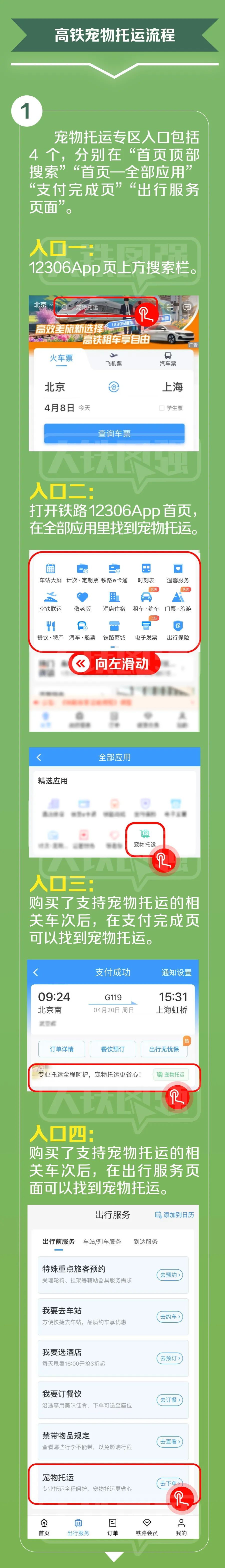高铁宠物托运，详细指南来了